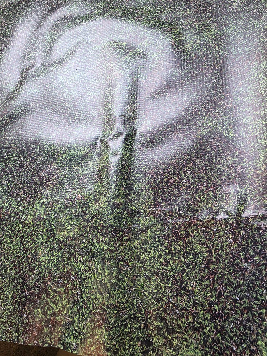 Close-up of the moss mat with a dent and creases where a rubber band held it rolled